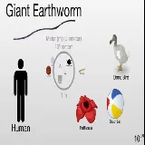 Scale of the Universe 2